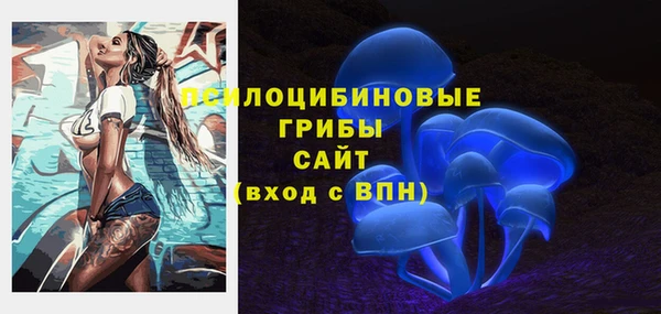 мяу мяу мука Алексеевка