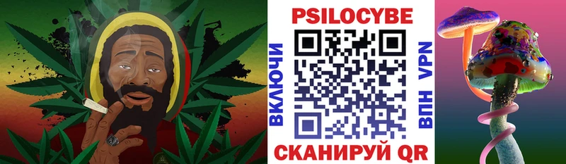 Псилоцибиновые грибы Cubensis  магазин    Нижнеудинск 